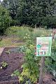 Allotments 1